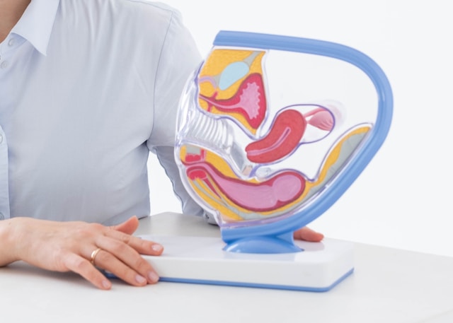Gynecology & Obstetrics
